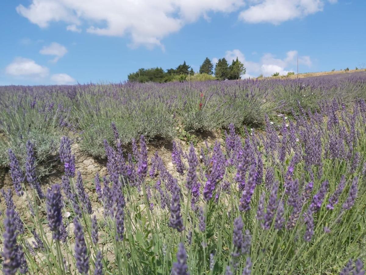 Agriturismo Mandriato Санта-Луче Экстерьер фото